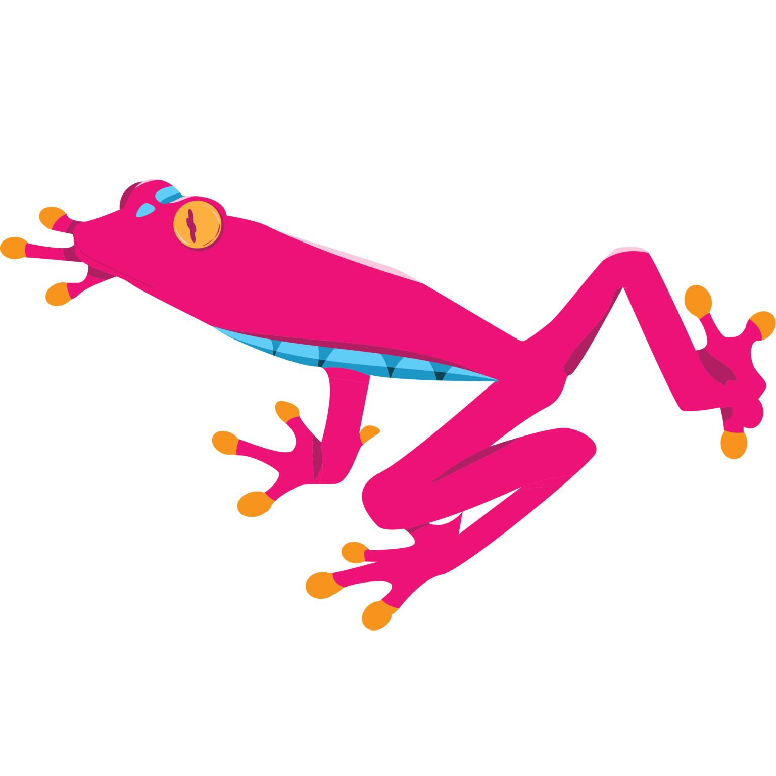 FROG
